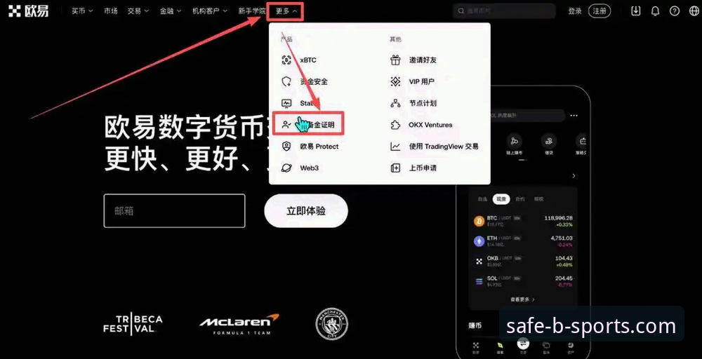 B体育平台官网使用指南：官方正版入口安全吗？新手必看完整教程
