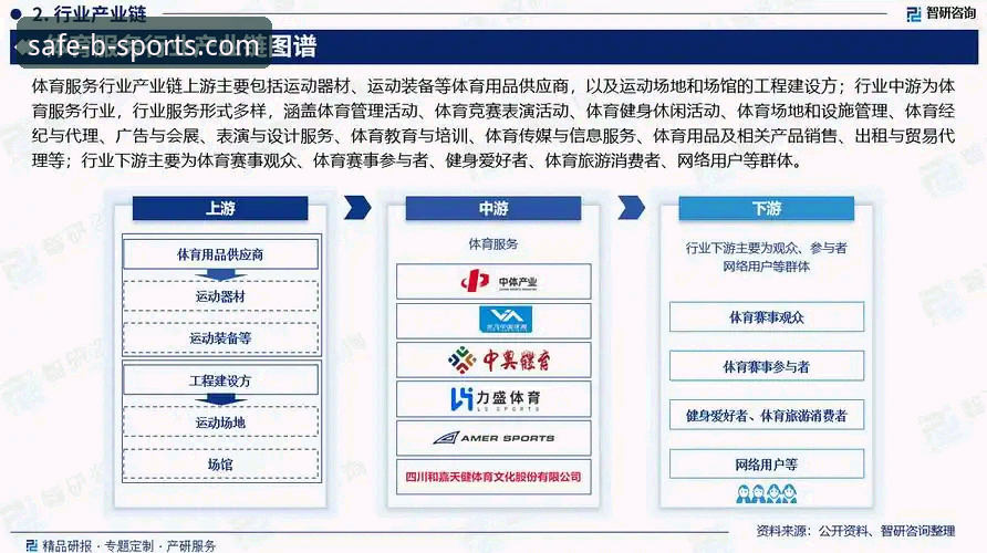 B体育平台官网全面解析：从行业趋势看用户体验与安全访问路径